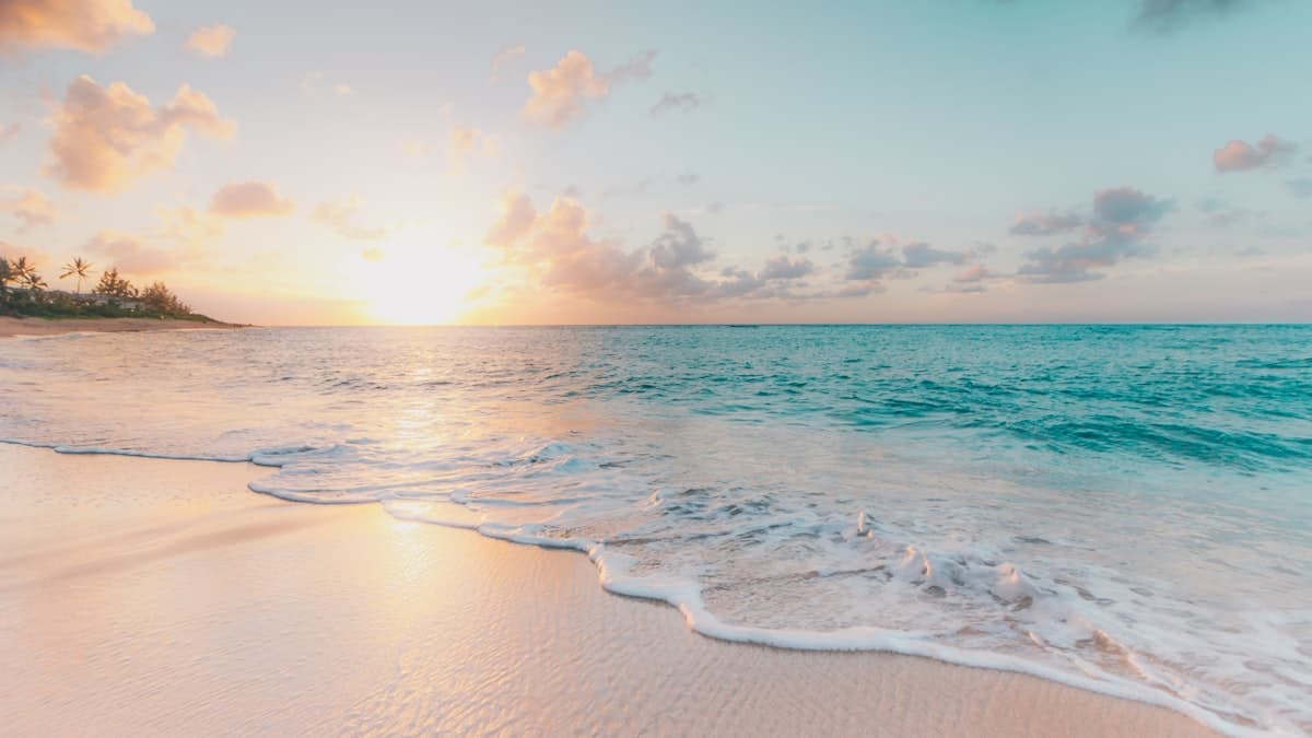 How to Choose the Best Travel Agency in Paphos, Cyprus (2026 Guide)